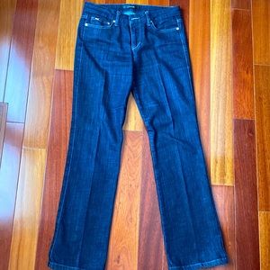 Beautiful Joe’s jeans size 28 straight leg